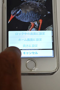 iPhoneでの壁紙設定方法11