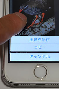 iPhoneでの壁紙設定方法5