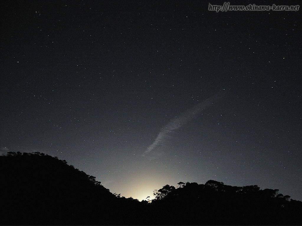 やんばるの森の星空のPCデスクトップ壁紙