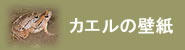 カエルのデスクトップ壁紙