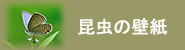 チョウやトンボなど昆虫のデスクトップ壁紙