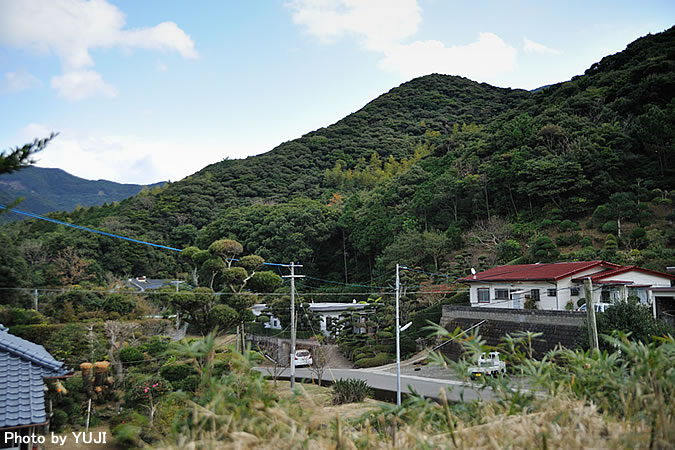 撮影を行った裏山