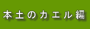 日本本土のカエル編