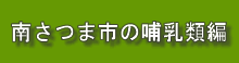 鹿児島県南さつま市坊津町久志の哺乳類