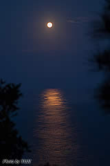 月の光満月月光月明かり