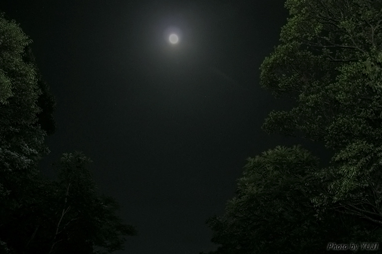 月の光 月光 満月 月明かり 月蝕