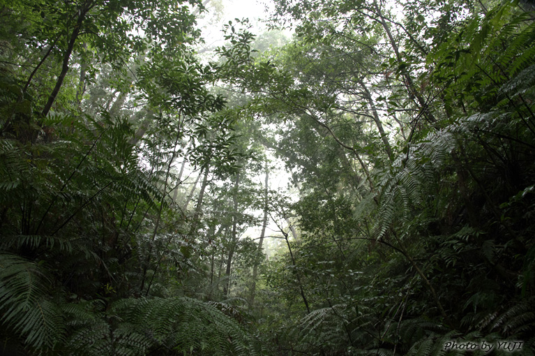 月の光 月光 満月 月明かり 月蝕