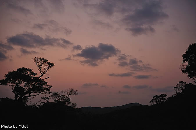 朝日 日の出 暁 朝焼け雲　黎明