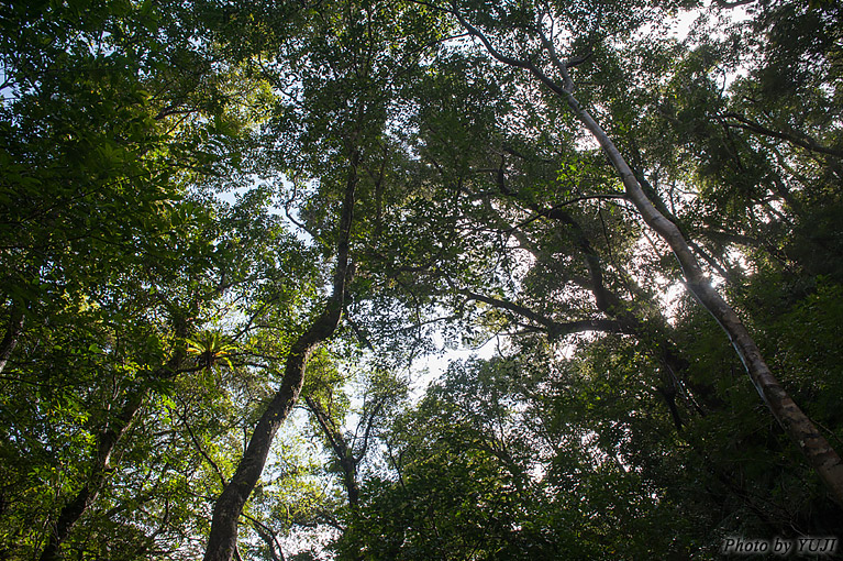 月の光 月光 満月 月明かり 月蝕