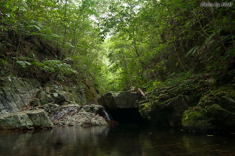 森と渓流 河川源流 上流部